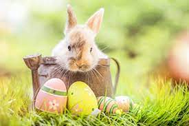 Easter Monday - EOCP Office Closed